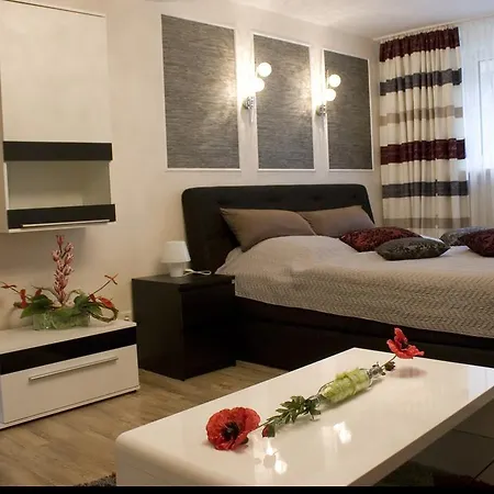 Palatium Bad Ems Apartment Room photo