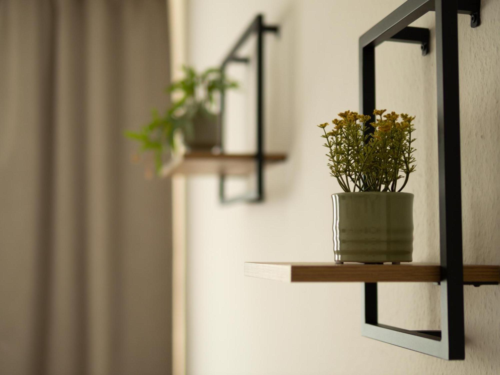 Apartment Palatium *